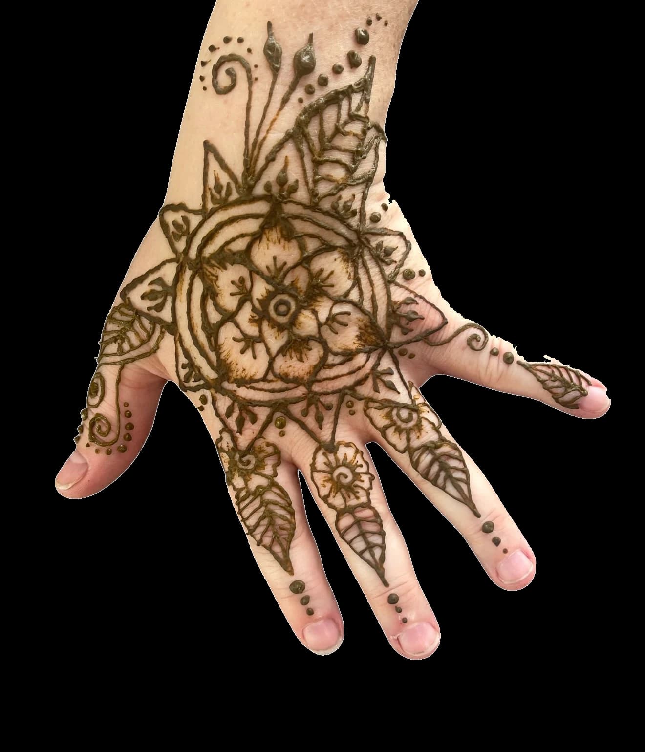Detailed botanical and geometric henna across a palm and fingers.